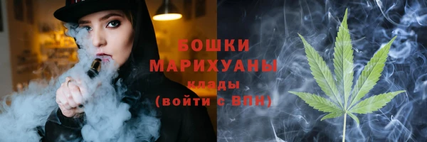 дживик Аркадак