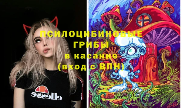 МДПВ Алексеевка