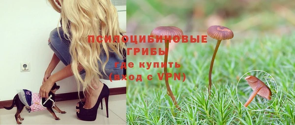 марки nbome Алзамай